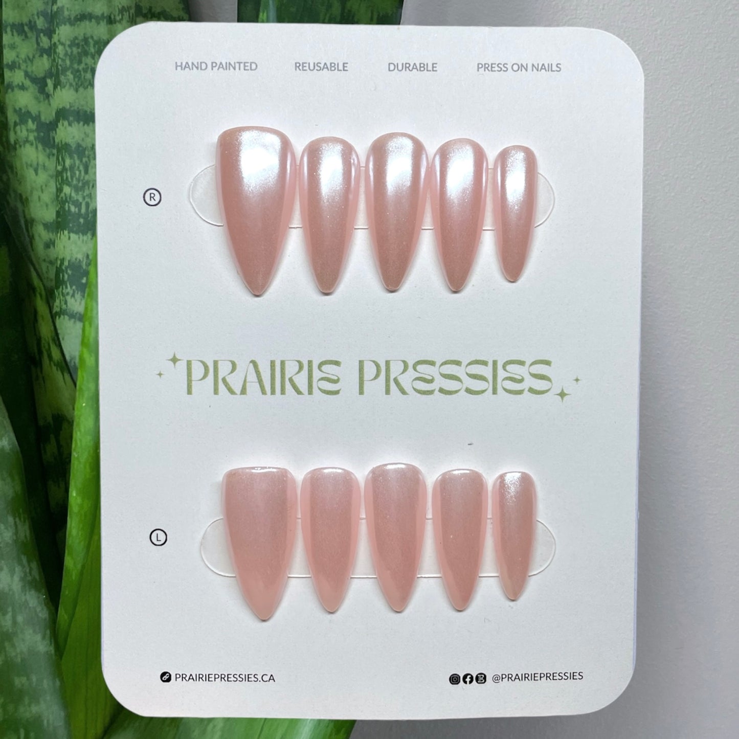 (RTW) GLAZED PEACH