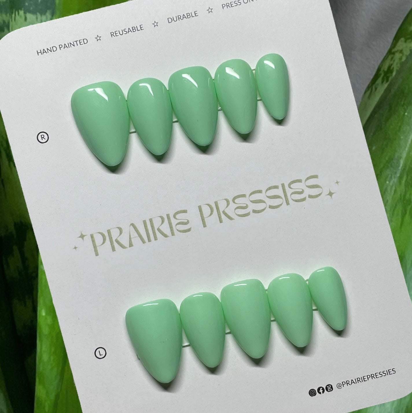 (RTW) MINT