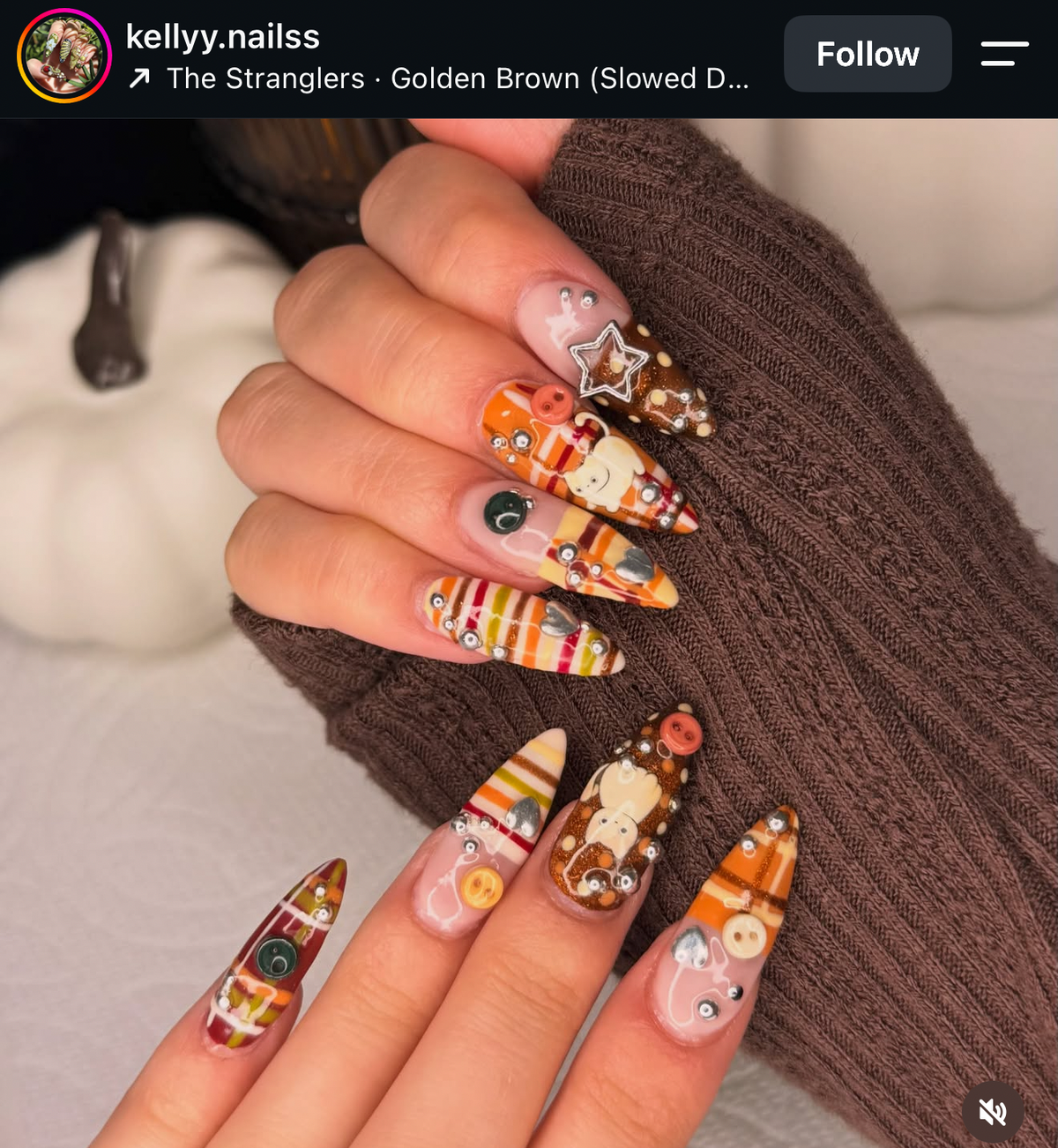 SET 29