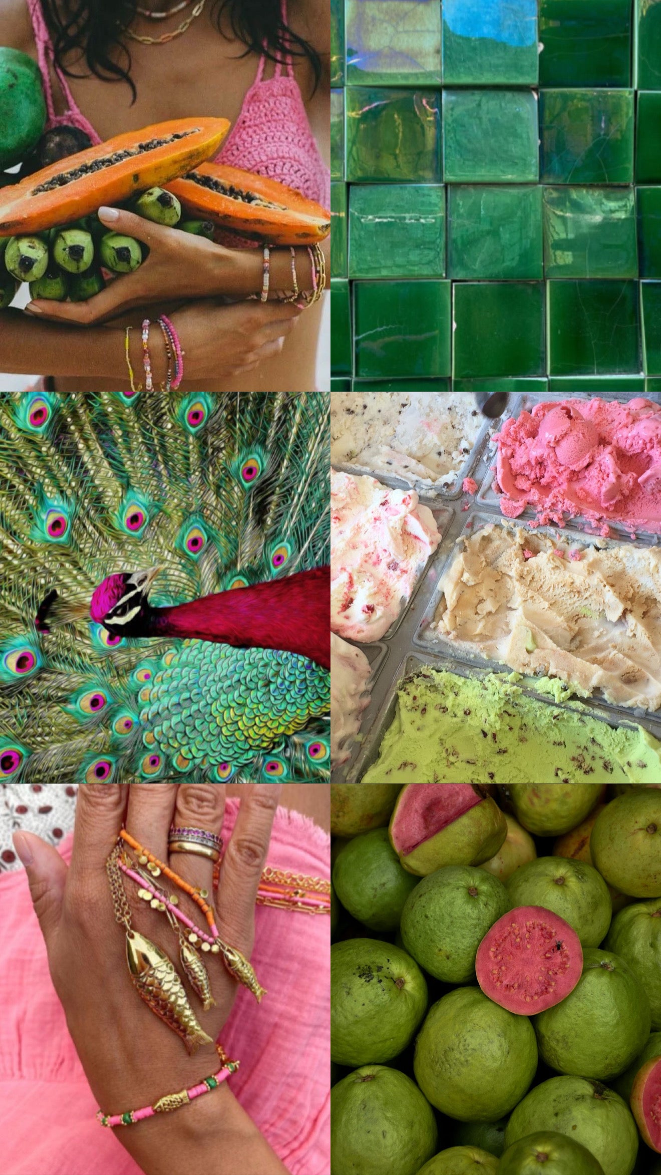 PEACOCK PARADISE