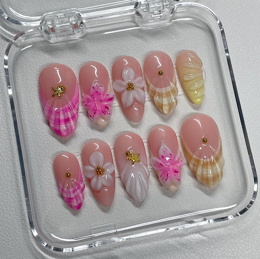 SANDY SEASHELLS