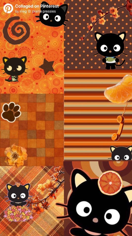 PUMPKIN CHOCOCAT