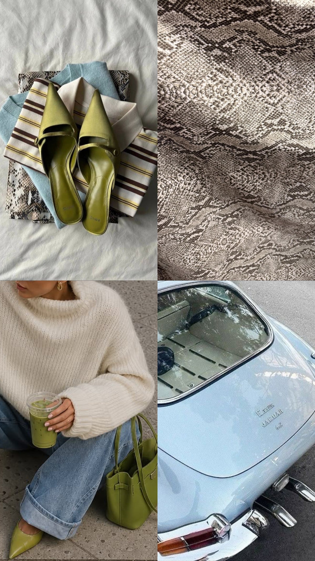 SNAKE SKIN