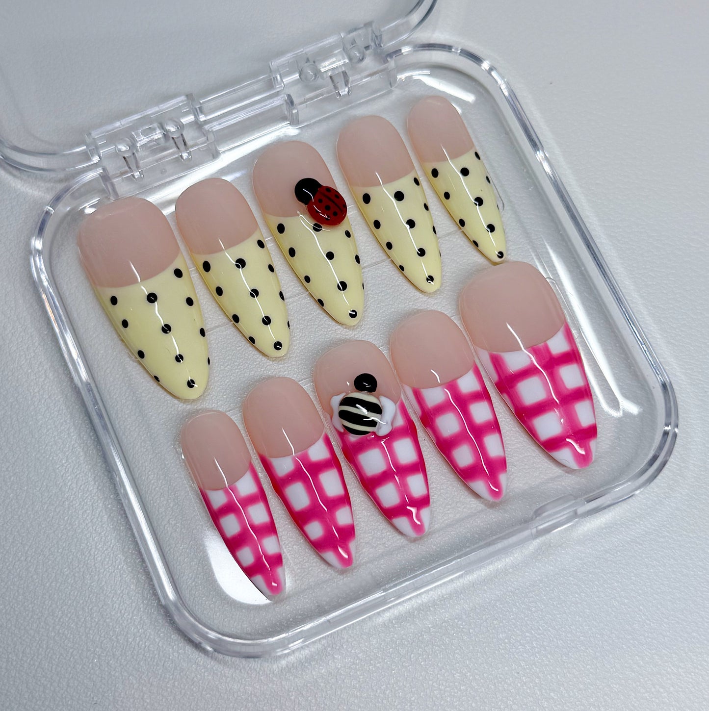 LADYBUG PICNIC