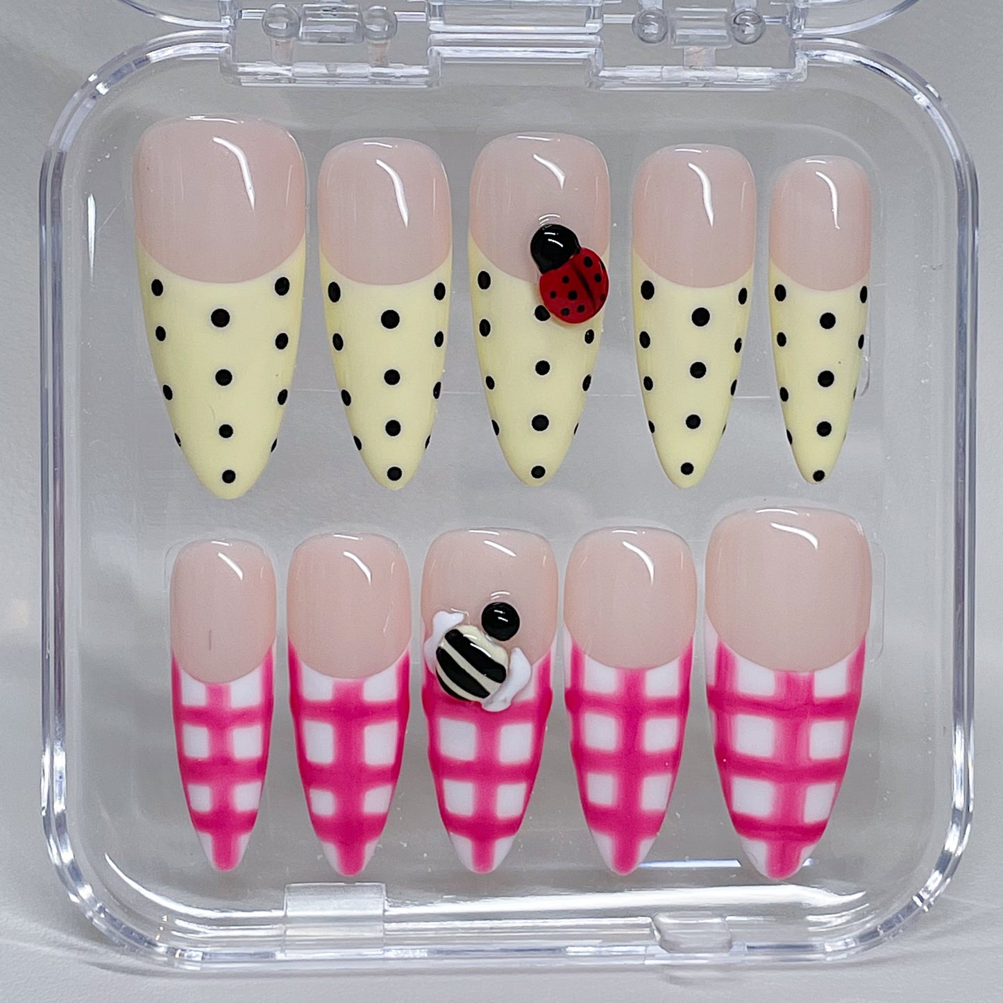 LADYBUG PICNIC