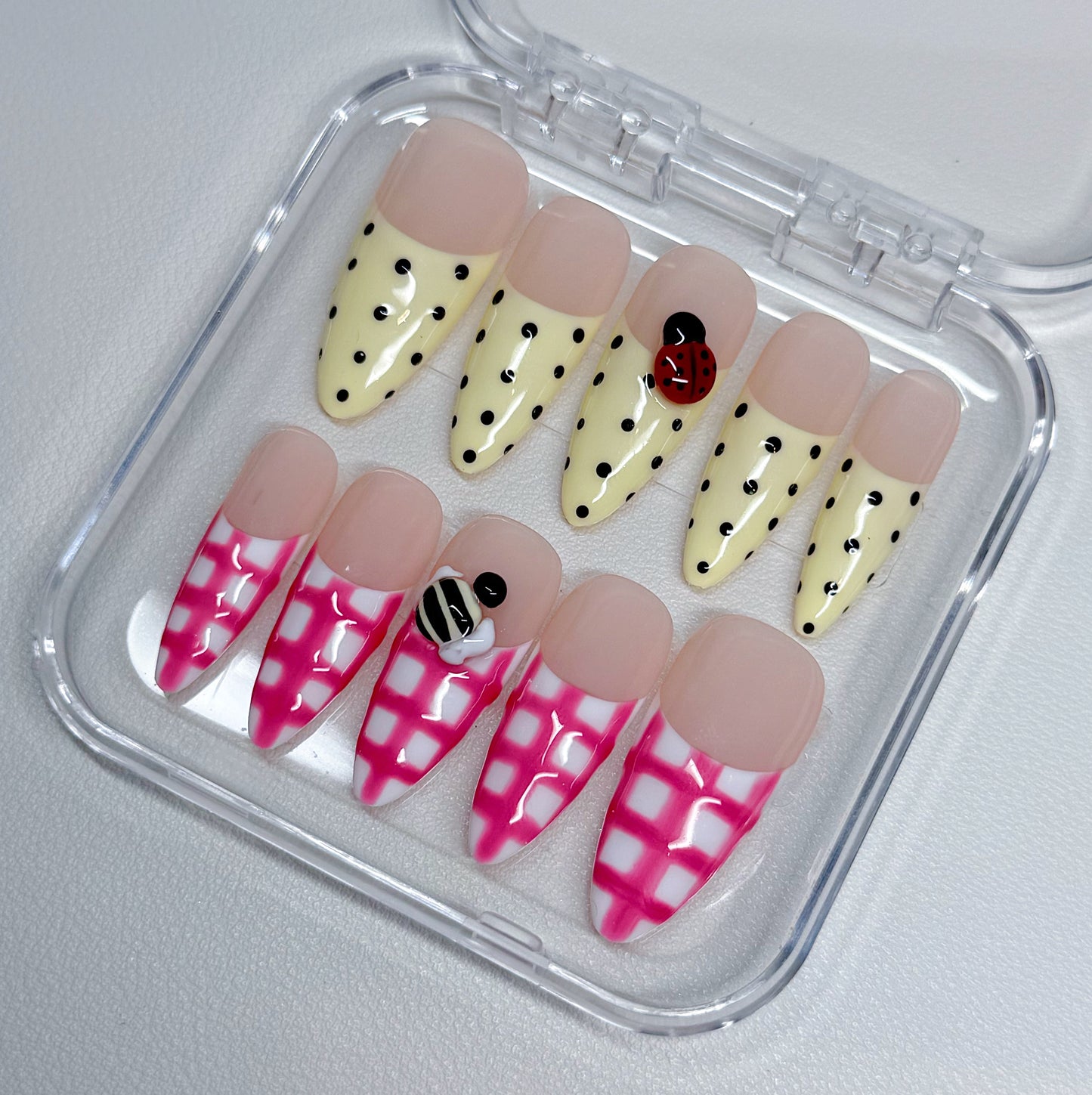 LADYBUG PICNIC