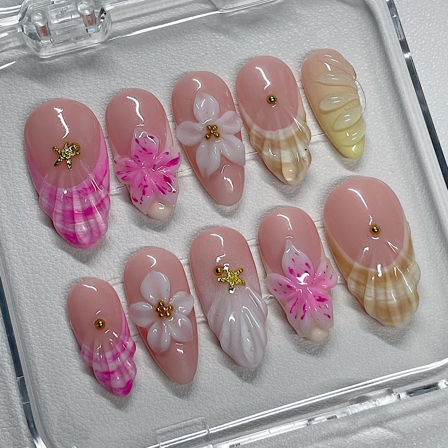 SANDY SEASHELLS