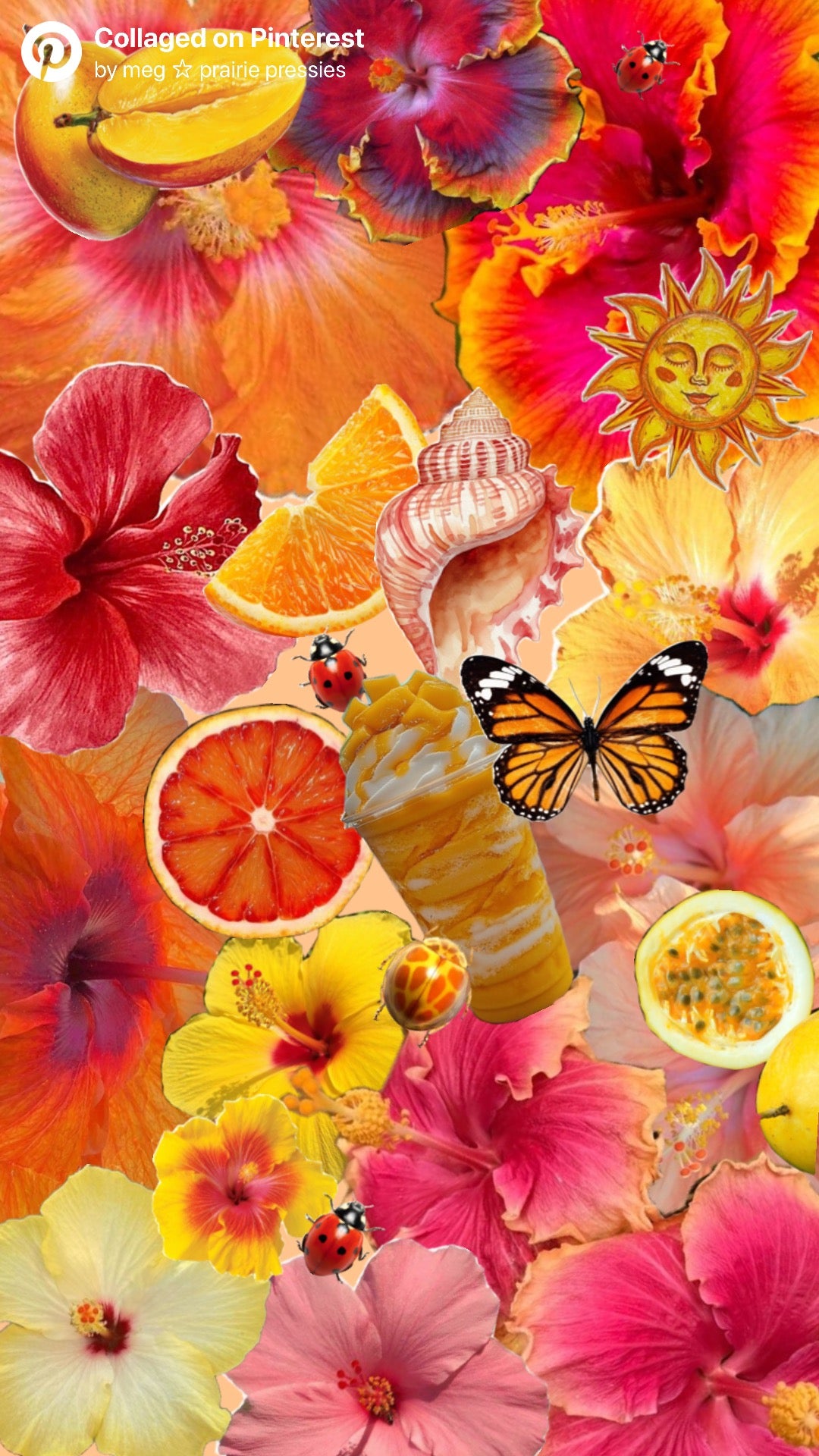SUMMER MONARCH