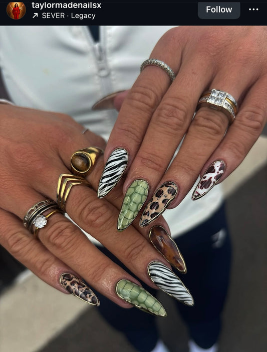 SET 20