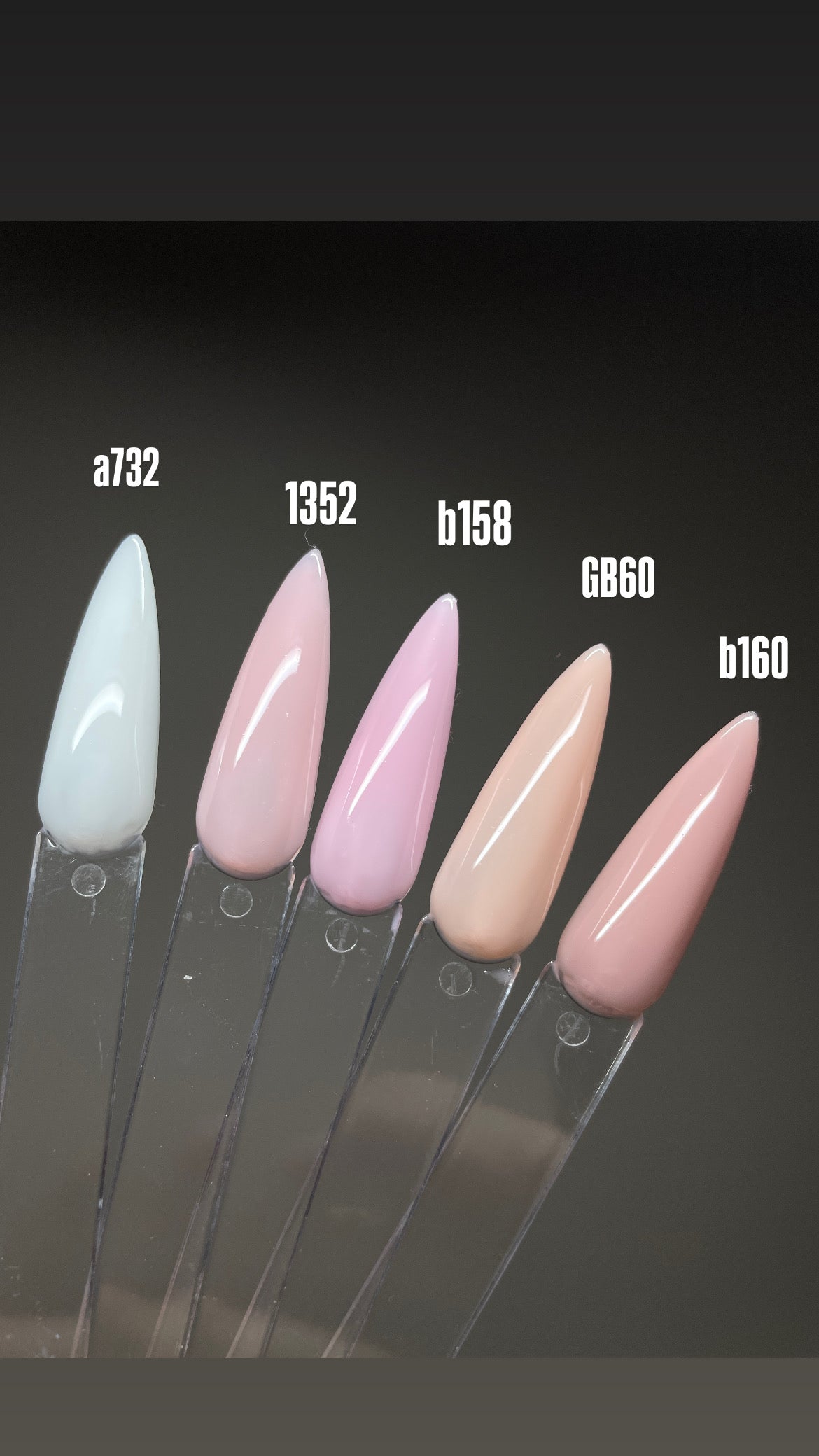 (BASICS) SHEER NUDES