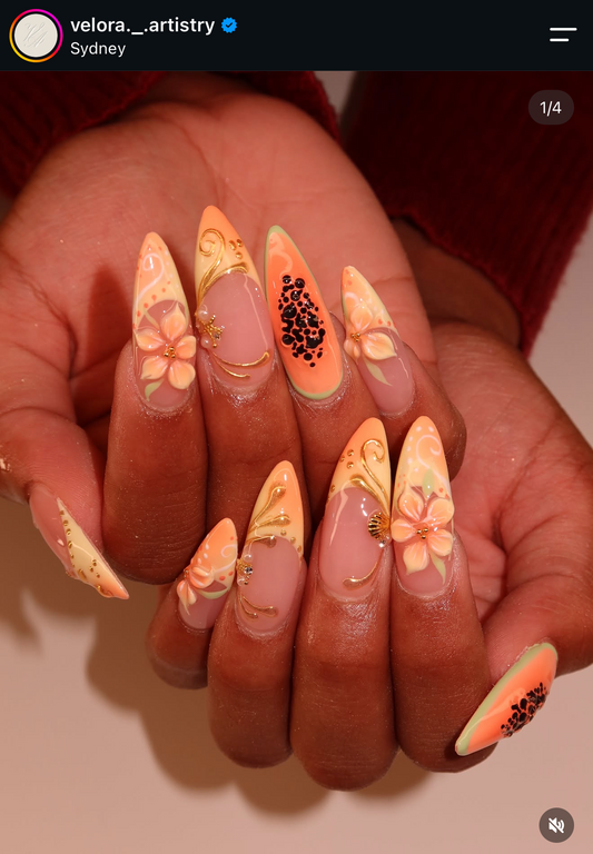 SET 6