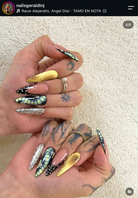 SET 5