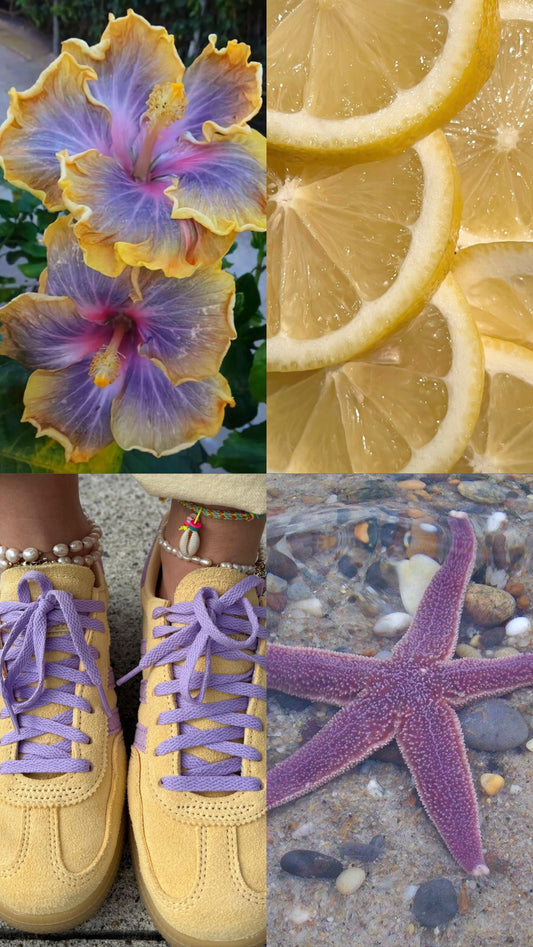 LAVENDER LÌMON