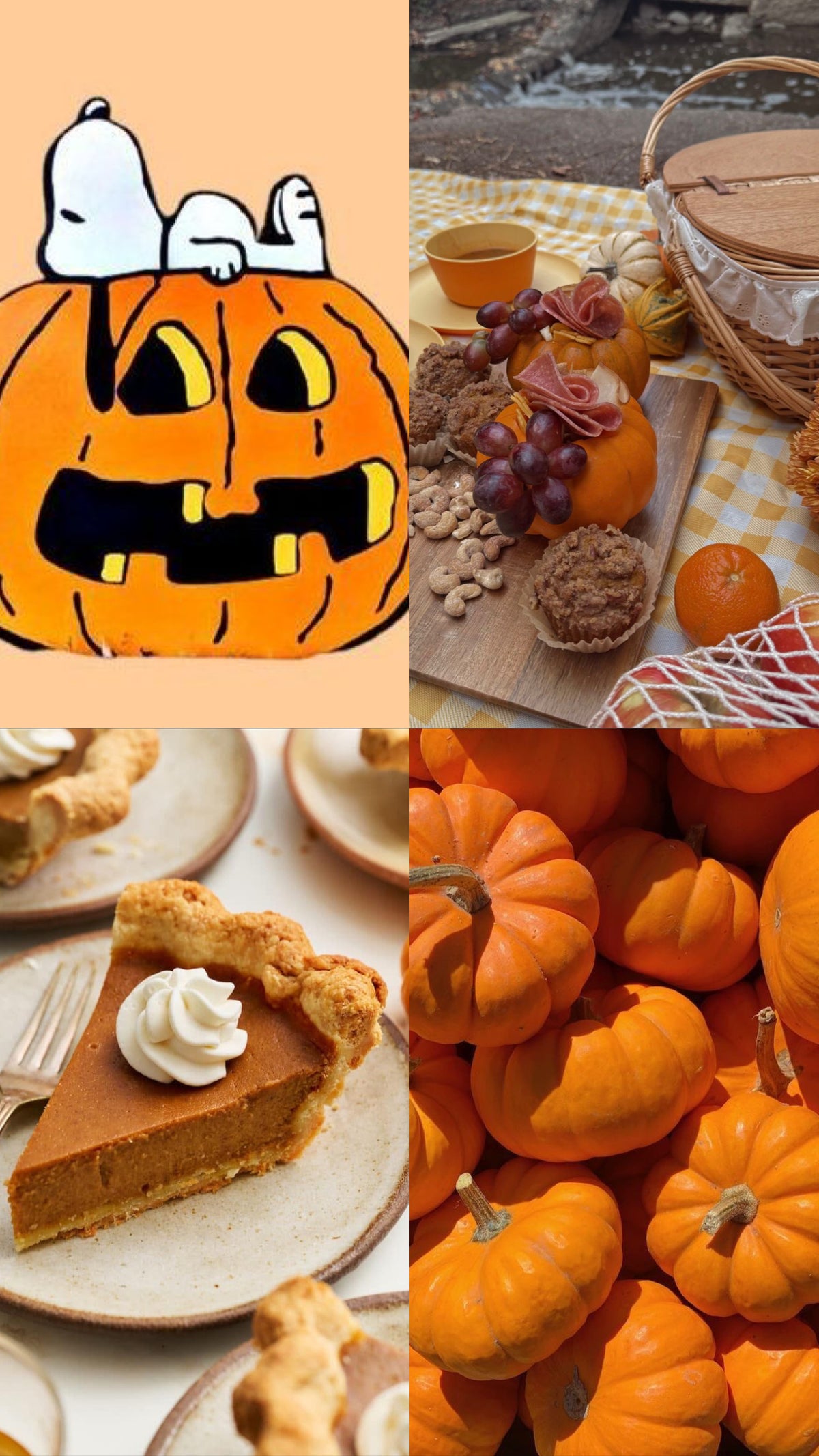SNOOPY’s PUMPKIN PATCH
