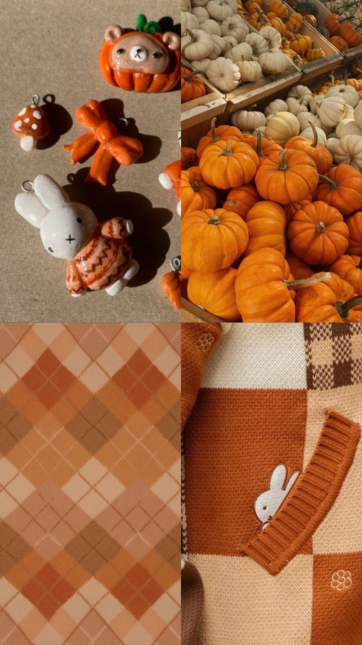 PUMPKIN MIFFY