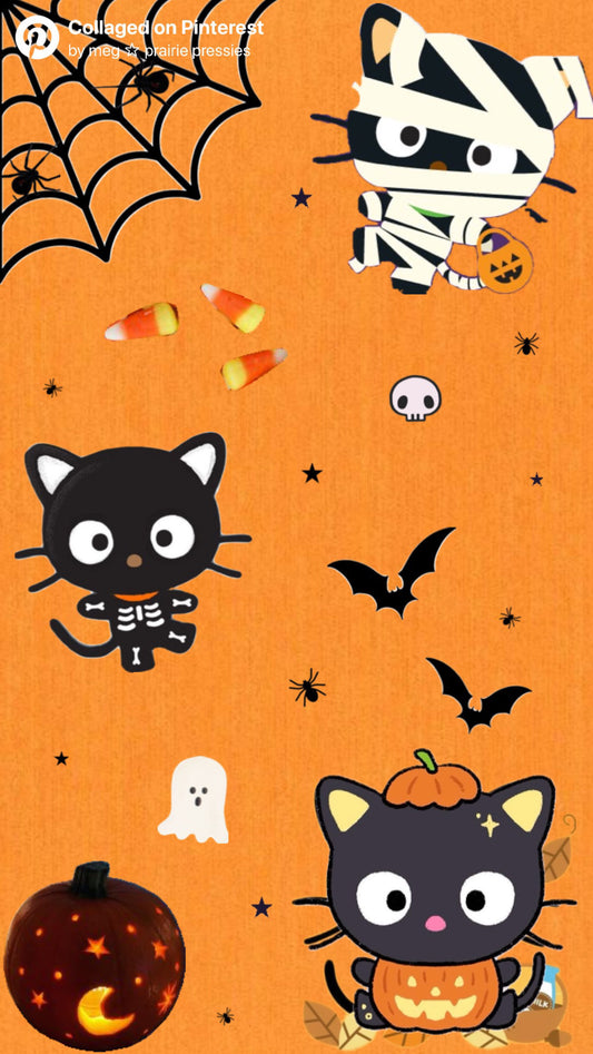 PUMPKIN CHOCOCAT