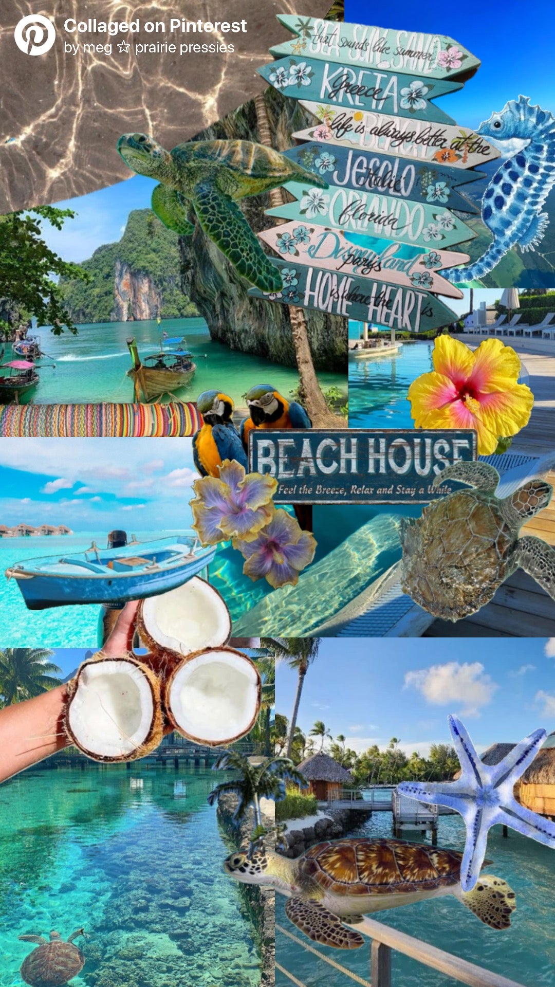BEACH HOUSE