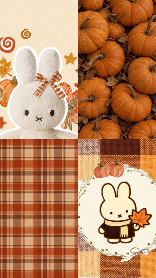 PUMPKIN MIFFY